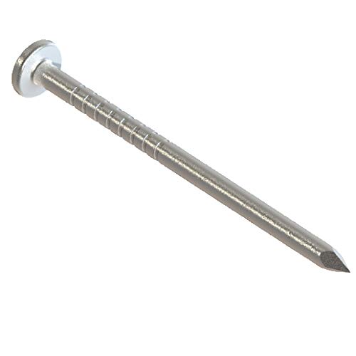 Amazon.com: Clendenin Brothers Stainless Steel Trim Nails